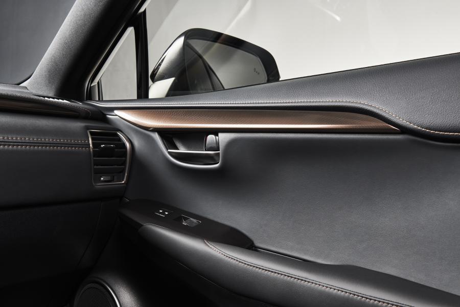 Детали интерьера Lexus NX300 Black Line 2019 года  (NA) (фото 8 из 9)